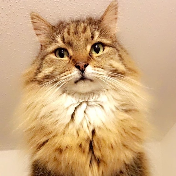 Meet your Posher, Sarah - Picture 6 of 16